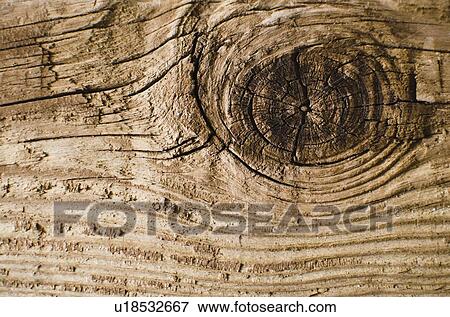 Old plank View Large Photo Image Stock Photo - Old plank. Fotosearch