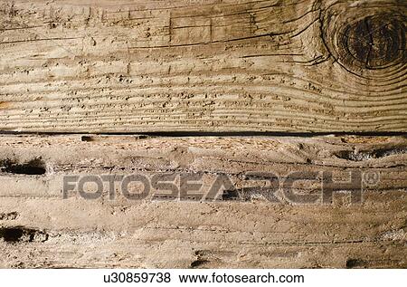 Stock Photo - Old plank. Fotosearch