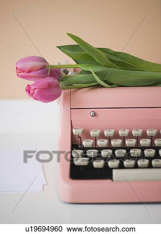 Pink typewriter and tulips View Large Photo Image Stock Image - Pink typewriter and tulips. Fotosearch