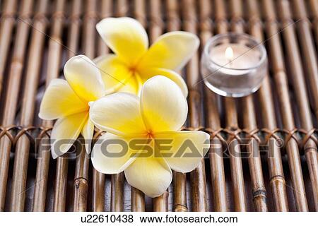 Stock Photo - Plumeria flowers and scented candle. Fotosearch
