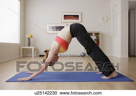 Portrait of young woman during fitness View Large Photo Image Stock Image - Portrait of young woman during fitness. Fotosearch