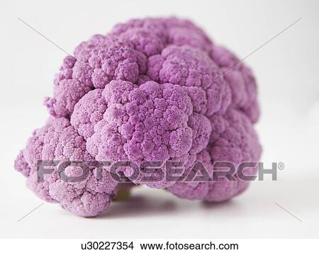 Picture - Purple cauliflower on white background. Fotosearch