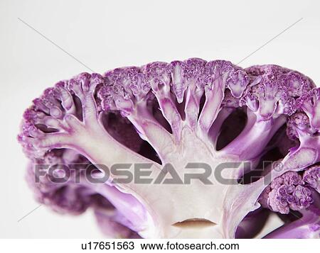 Purple cauliflower on white background View Large Photo Image Stock Image - Purple cauliflower on white background. Fotosearch