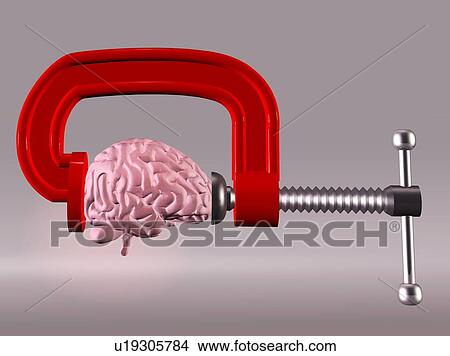 Picture - Studio shot of brain in squeezed by clamp. Fotosearch