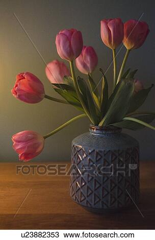 Tulips in vase View Large Photo Image Stock Image - Tulips in vase. Fotosearch