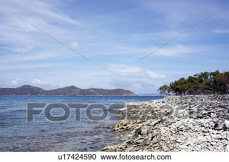 Stock Image - United States Virgin Islands, St. John, Coastline landscape. Fotosearch