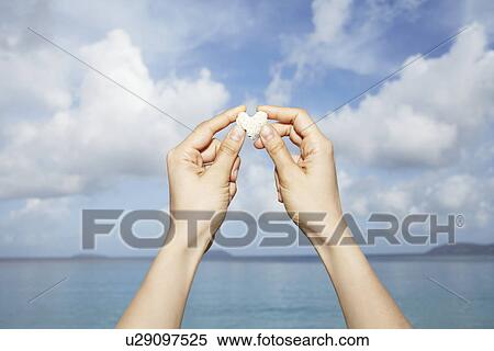 United States Virgin Islands, St. John, Heart-shaped stone in female hands View Large Photo Image Stock Photography - United States Virgin Islands, St. John, Heart-shaped stone in female hands. Fotosearch