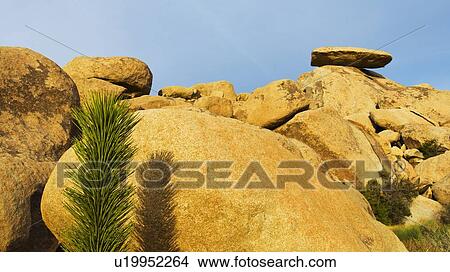 USA, California, Joshua Tree National Park, Rock formations View Large Photo Image Picture - USA, California, Joshua Tree National Park, Rock formations. Fotosearch