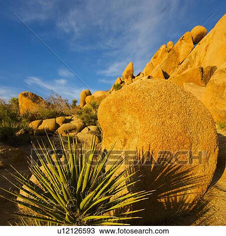 Stock Image - USA, California, Joshua Tree National Park, Rock formations. Fotosearch