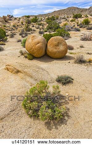 USA, California, Joshua Tree National Park, Boulders in desert View Large Photo Image Stock Image - USA, California, Joshua Tree National Park, Boulders in desert. Fotosearch