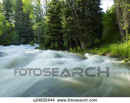 USA, Colorado, Mountain creek in forest View Large Photo Image Picture - USA, Colorado, Mountain creek in forest. Fotosearch