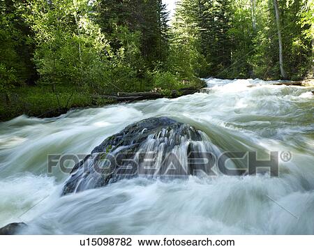 Stock Image - USA, Colorado, Mountain creek in forest. Fotosearch