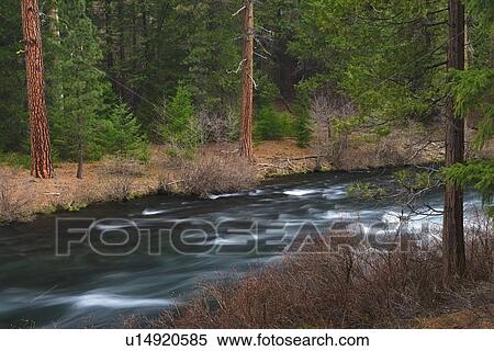 USA, Oregon, Deschutes County, River view View Large Photo Image Stock Photography - USA, Oregon, Deschutes County, River view. Fotosearch