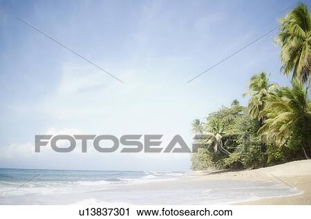 USA, Puerto Rico, Ricon, Tropical beach View Large Photo Image Stock Image - USA, Puerto Rico, Ricon, Tropical beach. Fotosearch