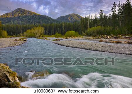 Stock Photo - USA, Washington, Olympic National Park, Landscape with mountain and river. Fotosearch