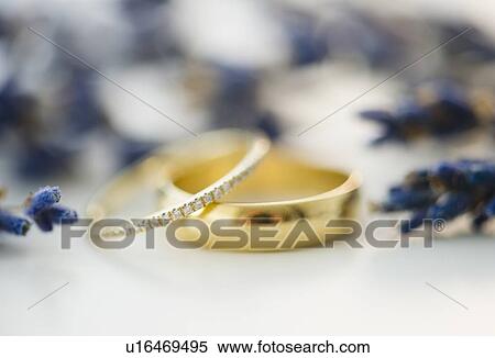 Wedding rigs and lavender View Large Photo Image Stock Photography - Wedding rigs and lavender. Fotosearch