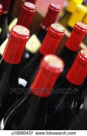 Wine bottles View Large Photo Image Stock Photo - Wine bottles. Fotosearch
