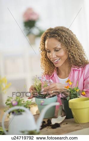 Woman potting flowers View Large Photo Image Stock Image - Woman potting flowers. Fotosearch