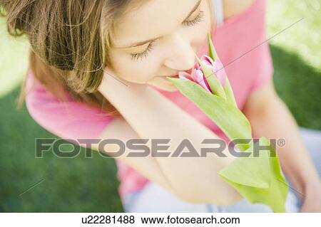 Woman smelling flower View Large Photo Image Stock Photo - Woman smelling flower. Fotosearch
