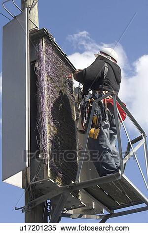 Worker on telephone pole View Large Photo Image Stock Photography - Worker on telephone pole. Fotosearch
