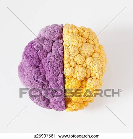 Stock Image - Yellow and purple cauliflower, studio shot. Fotosearch
