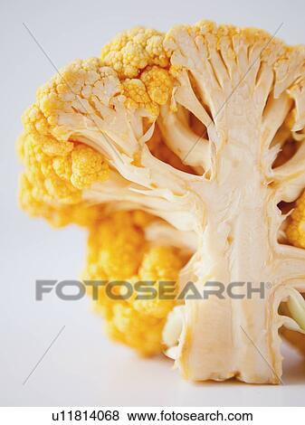 Yellow cauliflower on white background View Large Photo Image Stock Photo - Yellow cauliflower on white background. Fotosearch