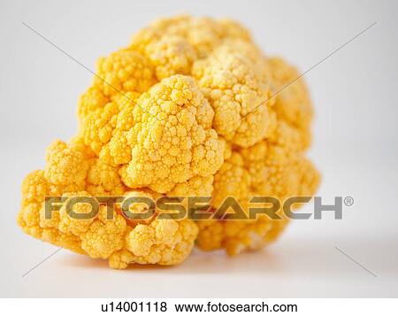 Stock Photo - Yellow cauliflower on white background. Fotosearch