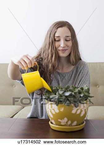 Young woman watering pot plant View Large Photo Image Stock Image - Young woman watering pot plant . Fotosearch