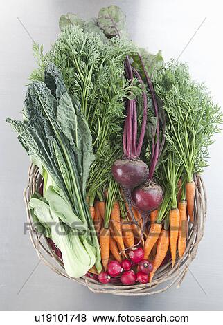 Stock Photo - Basket of fresh organic vegetables. Fotosearch