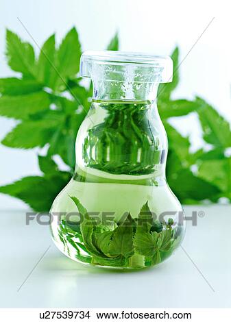 Picture - Bottle of herbs in water. Fotosearch