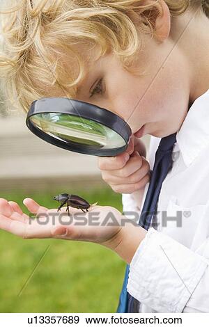 Boy examining bug with magnifying glass View Large Photo Image Stock Photo - Boy examining bug with magnifying glass. Fotosearch