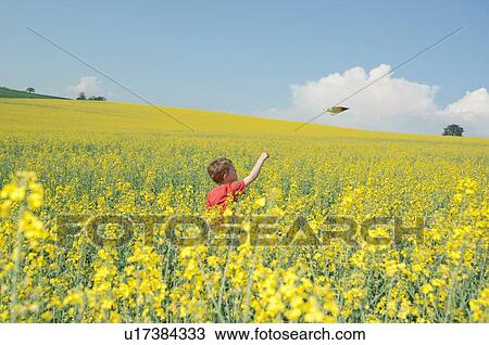 Boy playing with paper airplane in field View Large Photo Image Stock Image - Boy playing with paper airplane in field. Fotosearch