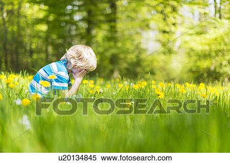 Stock Photography - Boy sitting in field of tall grass. Fotosearch