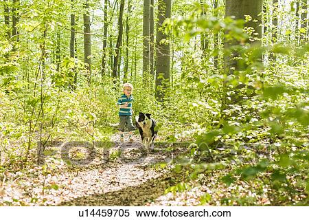 Boy walking with dog in forest View Large Photo Image Stock Photography - Boy walking with dog in forest. Fotosearch