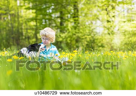 Boy with dog in field of tall grass View Large Photo Image Stock Photo - Boy with dog in field of tall grass. Fotosearch