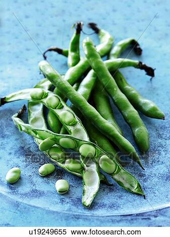 Close up of beans and peas View Large Photo Image Stock Photography - Close up of beans and peas. Fotosearch