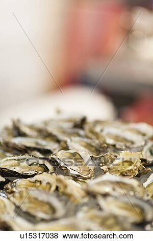 Close up of bowl of oysters View Large Photo Image Stock Photo - Close up of bowl of oysters. Fotosearch