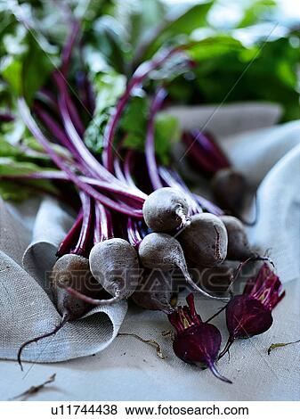 Stock Photo - Close up of bunch of radishes. Fotosearch