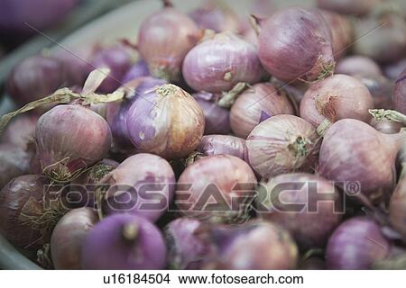 Picture - Close up of bunches of onions. Fotosearch