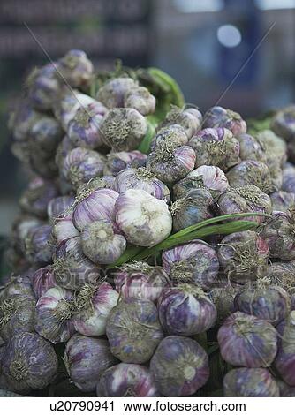 Close up of bunches of onions View Large Photo Image Stock Image - Close up of bunches of onions. Fotosearch