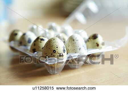 Close up of carton of quail eggs View Large Photo Image Stock Photography - Close up of carton of quail eggs. Fotosearch