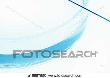 Stock Image - Close up of liquid in petri dish. Fotosearch
