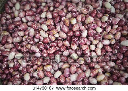 Close up of pile of beans View Large Photo Image Stock Photo - Close up of pile of beans. Fotosearch