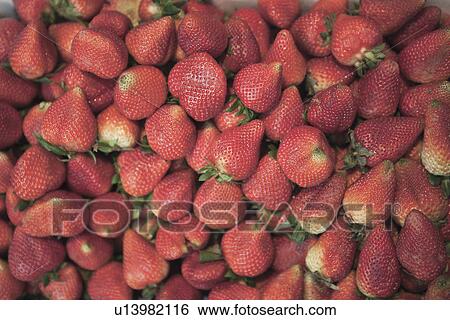 Stock Photograph - Close up of pile of strawberries. Fotosearch