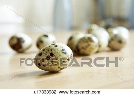 Close up of quail eggs on counter View Large Photo Image Stock Image - Close up of quail eggs on counter. Fotosearch
