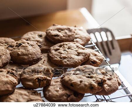 Close up of tray of fresh baked cookies View Large Photo Image Stock Photo - Close up of tray of fresh baked cookies. Fotosearch