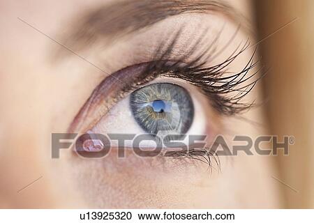 Close up of womans eye View Large Photo Image Stock Image - Close up of womans eye. Fotosearch