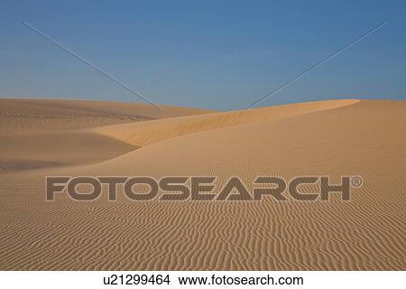Desert sand dunes, Canoa Quebrada, Fortaleza, Brazil View Large Photo Image Picture - Desert sand dunes, Canoa Quebrada, Fortaleza, Brazil. Fotosearch