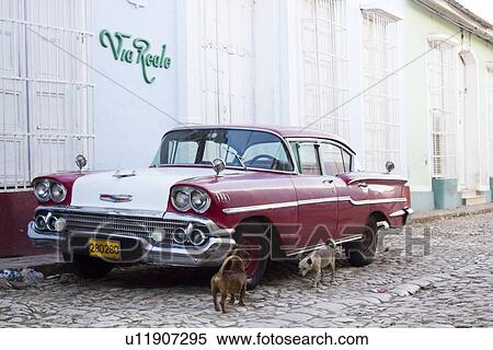 Dogs examining vintage car on street View Large Photo Image Stock Photography - Dogs examining vintage car on street. Fotosearch
