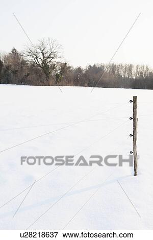 Fence post in snowy field View Large Photo Image Stock Photo - Fence post in snowy field. Fotosearch